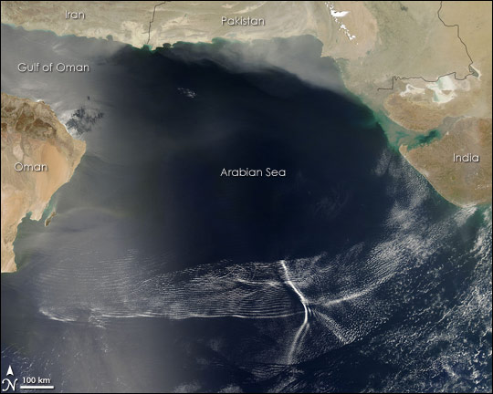 Undular Bores in the Arabian Sea